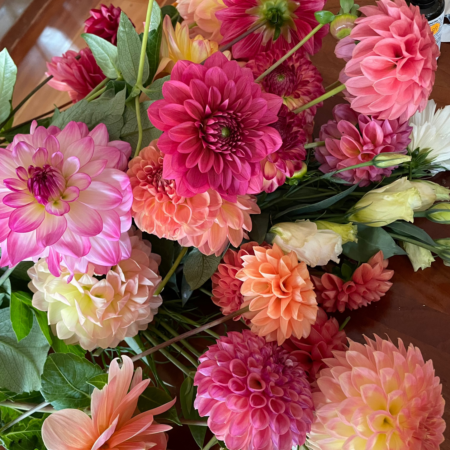 2025 Fall Flower Subscription (Sept. 3 - Oct. 8)